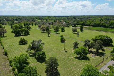 Terrain à vendre à Belleview, Floride № 2371817 - photo 8
