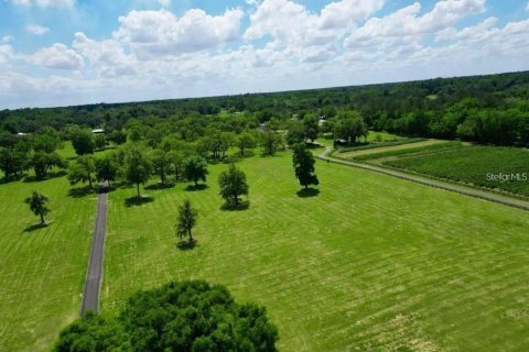 Terrain à Belleview, Floride № 2371817