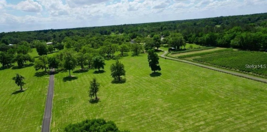 Terrain à Belleview, Floride № 2371817