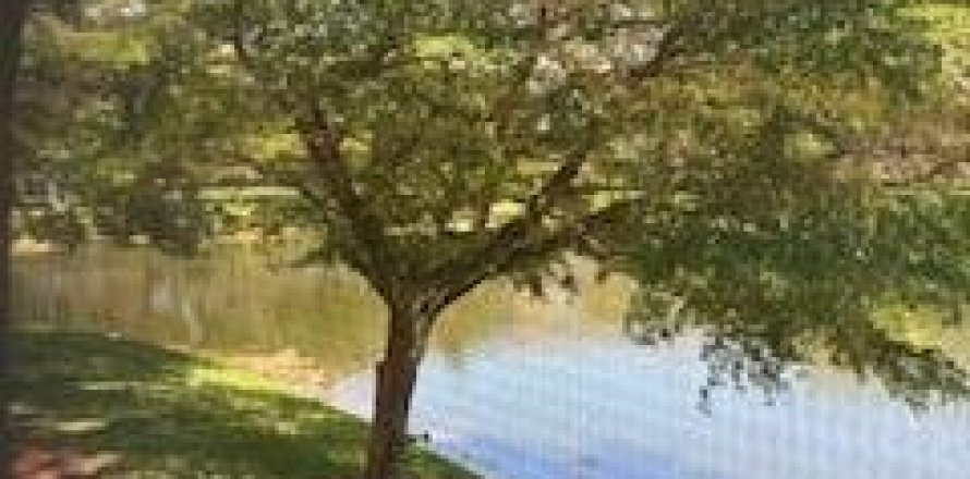 Condo in Coconut Creek, Florida, 2 bedrooms  № 1185270