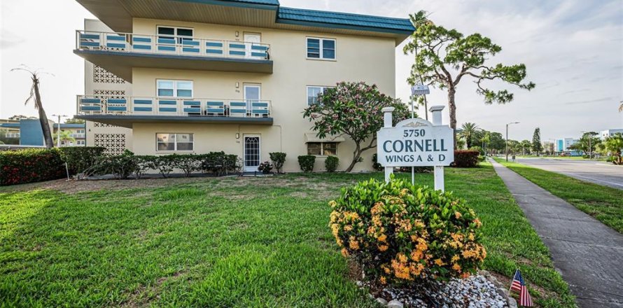 Condo à Saint Petersburg, Floride, 1 chambre № 2151483