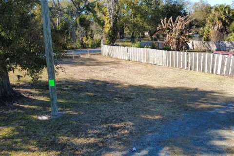 Land in Tampa, Florida № 2112485 - photo 5