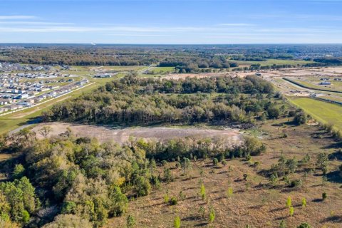Terrain à vendre à Ocala, Floride № 1549999 - photo 6