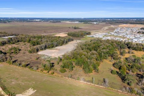 Terrain à vendre à Ocala, Floride № 1549999 - photo 2