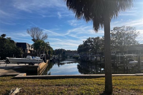 Land in Seminole, Florida № 1746686 - photo 1