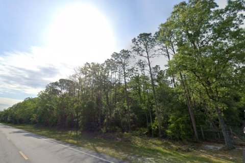 Land in Old Town, Florida № 2359465