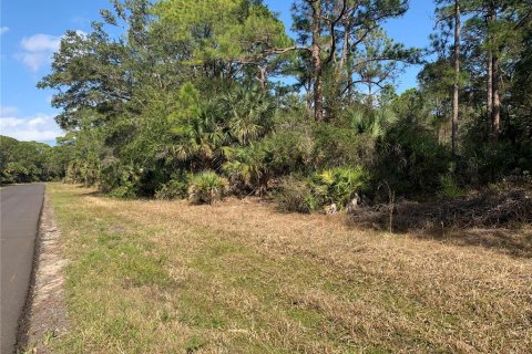 Land in Port Charlotte, Florida № 2161816