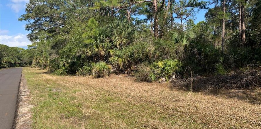 Land in Port Charlotte, Florida № 2161816