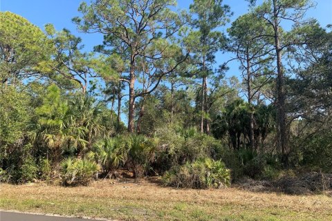 Land in Port Charlotte, Florida № 2161816 - photo 2