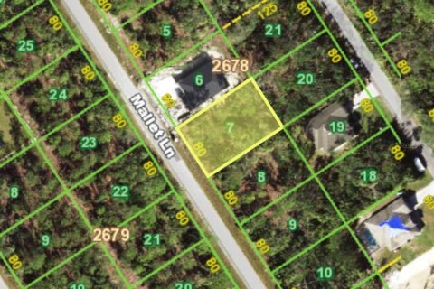 Land in Port Charlotte, Florida № 2161816 - photo 3