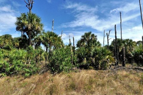 Land in North Port, Florida № 2211225 - photo 2