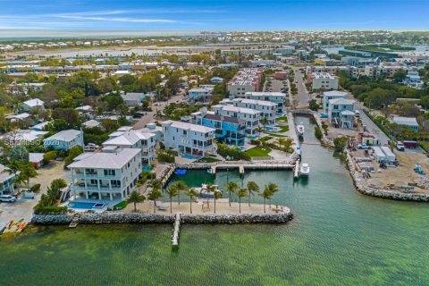 Casa en venta en Marathon, Florida, 5 dormitorios, 355.44 m2 № 2045105 - foto 9