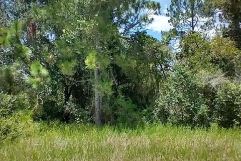 Land in Kissimmee, Florida № 2228776