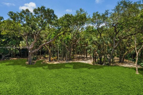 Land in Coral Gables, Florida № 1766821 - photo 4