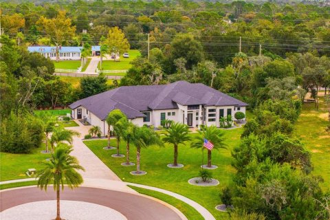 Villa ou maison à New Smyrna Beach, Floride 4 chambres, 339.19 m2 № 2430526