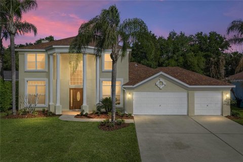 Villa ou maison à Valrico, Floride 4 chambres, 259.2 m2 № 2222023