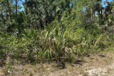 Land in Port Charlotte, Florida № 1062306 - photo 8