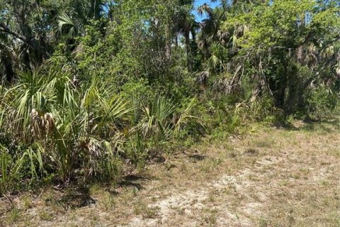 Land in Port Charlotte, Florida № 1062306 - photo 9