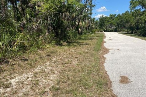 Land in Port Charlotte, Florida № 1062306 - photo 3
