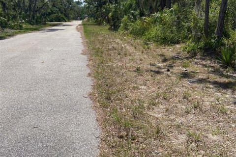 Land in Port Charlotte, Florida № 1062306 - photo 4