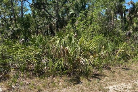 Land in Port Charlotte, Florida № 1062306 - photo 7