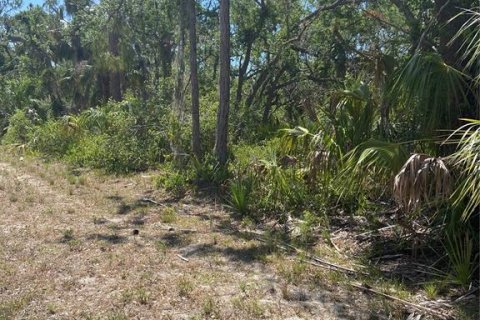 Land in Port Charlotte, Florida № 1062306 - photo 5