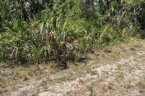 Land in Port Charlotte, Florida № 1062306 - photo 2