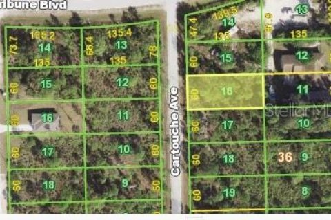 Land in Punta Gorda, Florida № 2162823