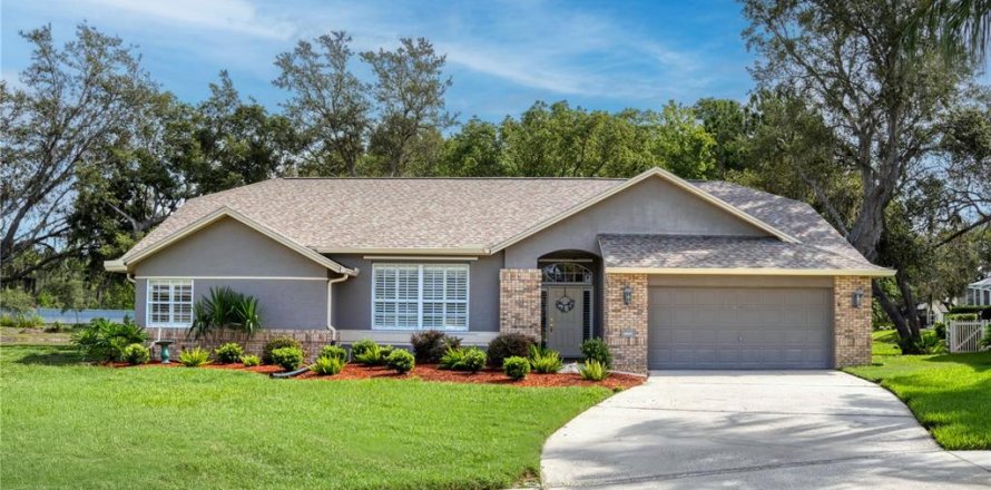Villa ou maison à New Port Richey, Floride 3 chambres, 180.51 m2 № 1824218