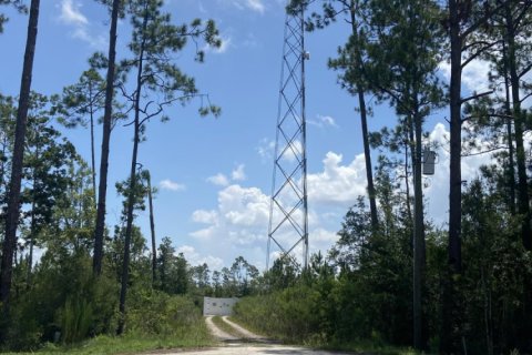 Land in Wewahitchka, Florida № 772017 - photo 1