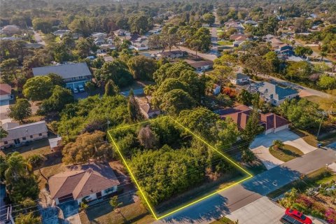 Terreno en venta en Venice, Florida № 2150950 - foto 2