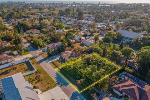 Terreno en venta en Venice, Florida № 2150950 - foto 5