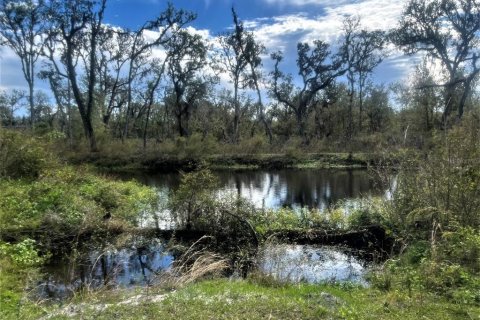 Terreno en venta en Myakka City, Florida № 1914710 - foto 5