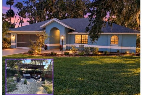 Villa ou maison à Palm Coast, Floride 4 chambres, 222.97 m2 № 2416521