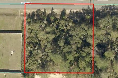 Terrain à vendre à Ocala, Floride № 1818914 - photo 1