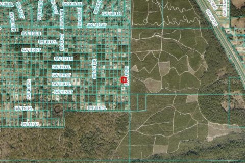 Terrain à vendre à Ocala, Floride № 1818914 - photo 4