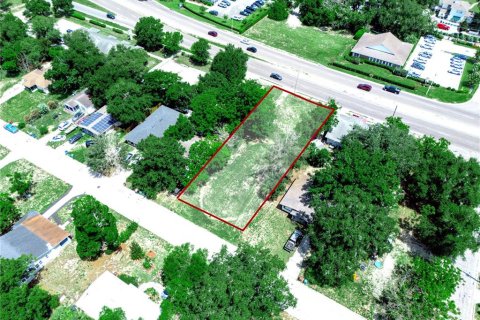 Land in Lake Wales, Florida № 2239775