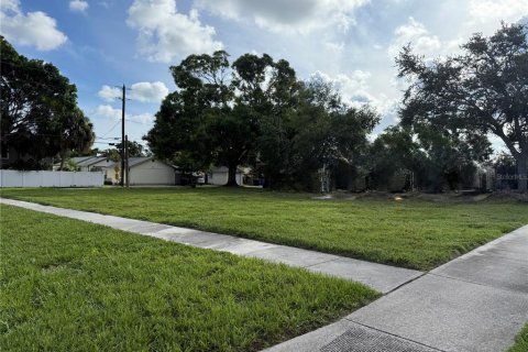 Land in Saint Petersburg, Florida № 1826134 - photo 4