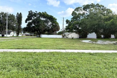 Land in Saint Petersburg, Florida № 1826134 - photo 1