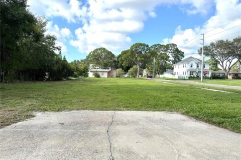 Land in Saint Petersburg, Florida № 1826134 - photo 2