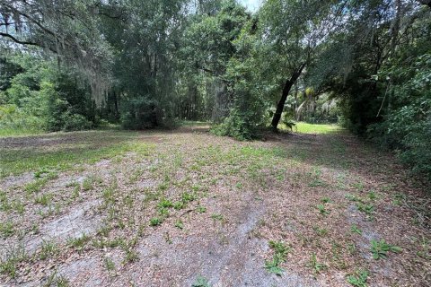 Land in DeLand, Florida № 2212916 - photo 6