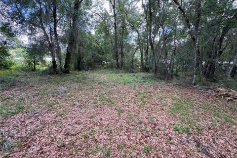Land in DeLand, Florida № 2212916 - photo 12