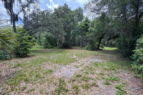 Land in DeLand, Florida № 2212916 - photo 5