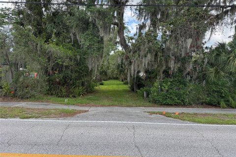 Land in DeLand, Florida № 2212916 - photo 2