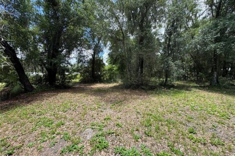 Land in DeLand, Florida № 2212916 - photo 9