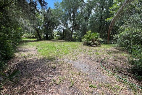 Land in DeLand, Florida № 2212916 - photo 10