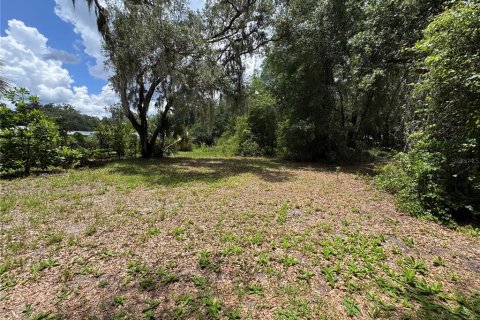 Land in DeLand, Florida № 2212916 - photo 7