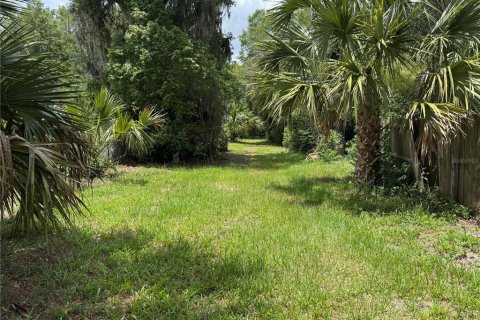Land in DeLand, Florida № 2212916 - photo 4