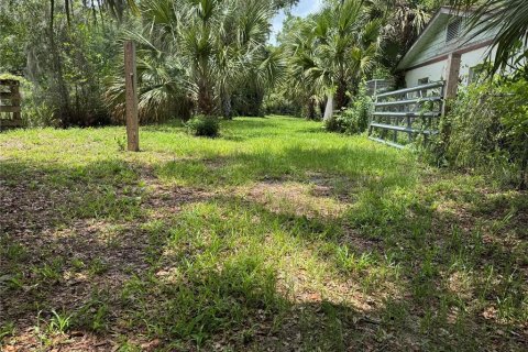Land in DeLand, Florida № 2212916 - photo 3