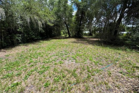 Land in DeLand, Florida № 2212916 - photo 11